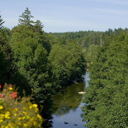 Logis Hotel Clair Matin Льо Шамбон-сюр-Линьон Екстериор снимка